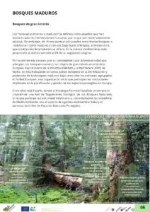 ALJUB-22_OCT_NOV_DIC_18-007