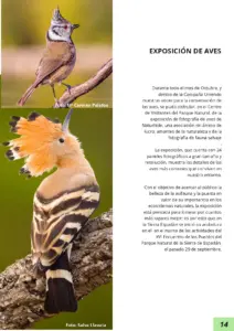 ALJUB-22_OCT_NOV_DIC_18-016